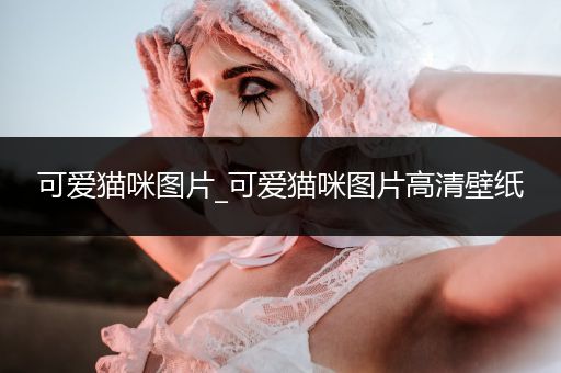 可愛(ài)貓咪圖片_可愛(ài)貓咪圖片高清壁紙