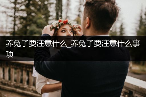 養(yǎng)兔子要注意什么_養(yǎng)兔子要注意什么事項(xiàng)