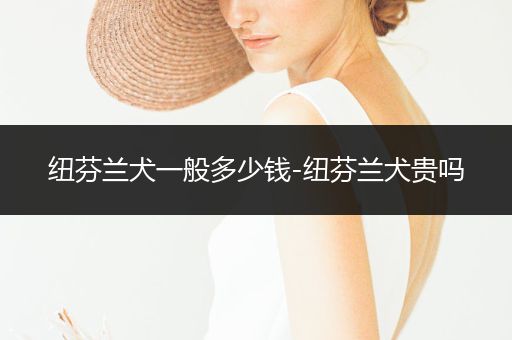 紐芬蘭犬一般多少錢(qián)-紐芬蘭犬貴嗎