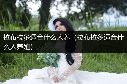 拉布拉多適合什么人養(yǎng)（拉布拉多適合什么人養(yǎng)殖）