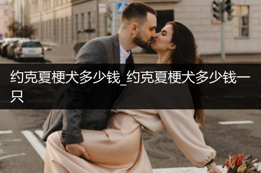 約克夏梗犬多少錢_約克夏梗犬多少錢一只