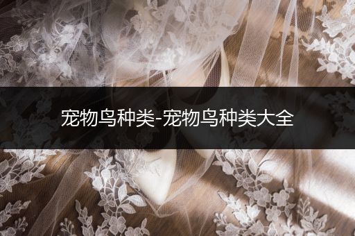 寵物鳥(niǎo)種類-寵物鳥(niǎo)種類大全