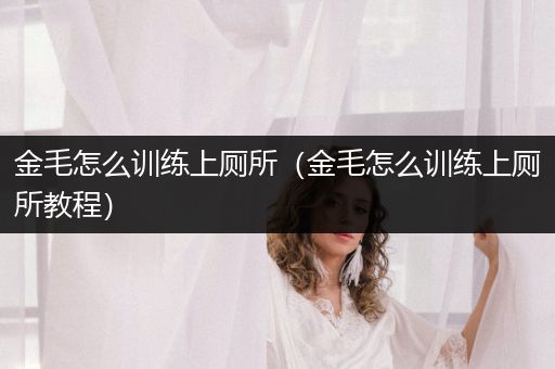 金毛怎么訓(xùn)練上廁所（金毛怎么訓(xùn)練上廁所教程）