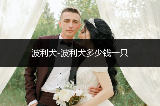波利犬-波利犬多少錢(qián)一只