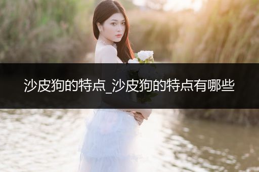 沙皮狗的特點(diǎn)_沙皮狗的特點(diǎn)有哪些