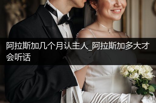 阿拉斯加幾個(gè)月認(rèn)主人_阿拉斯加多大才會(huì)聽話