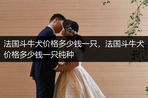 法國(guó)斗牛犬價(jià)格多少錢一只，法國(guó)斗牛犬價(jià)格多少錢一只純種