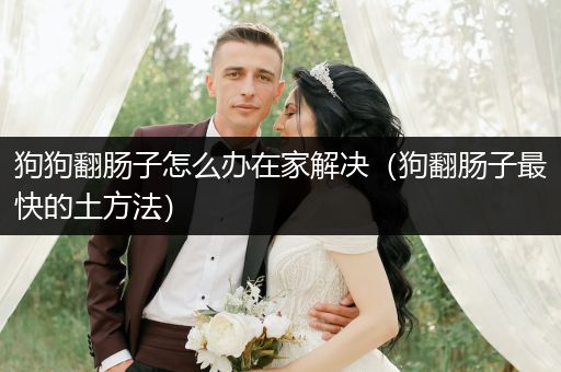 狗狗翻腸子怎么辦在家解決（狗翻腸子最快的土方法）