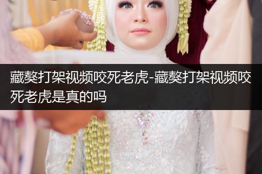 藏獒打架視頻咬死老虎-藏獒打架視頻咬死老虎是真的嗎