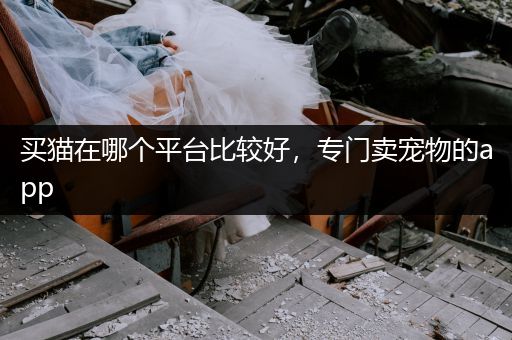 買貓?jiān)谀膫€(gè)平臺(tái)比較好，專門賣寵物的app