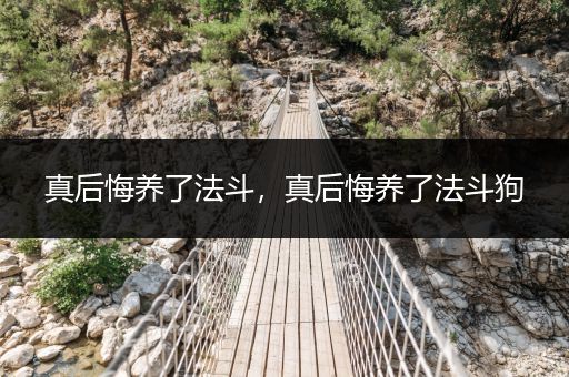 真后悔養(yǎng)了法斗，真后悔養(yǎng)了法斗狗
