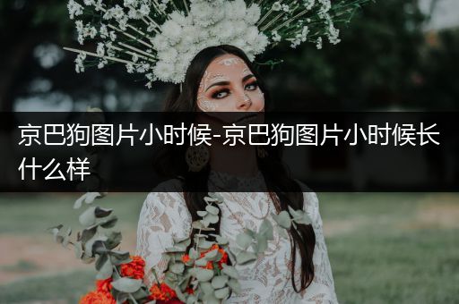 京巴狗圖片小時(shí)候-京巴狗圖片小時(shí)候長什么樣
