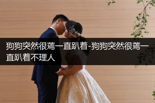 狗狗突然很蔫一直趴著-狗狗突然很蔫一直趴著不理人