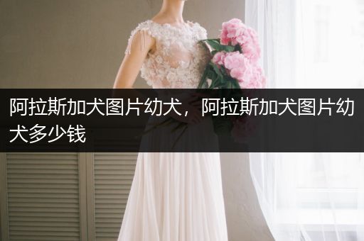 阿拉斯加犬圖片幼犬，阿拉斯加犬圖片幼犬多少錢