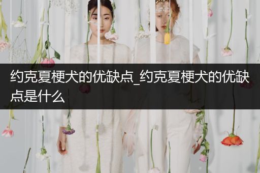 約克夏梗犬的優(yōu)缺點(diǎn)_約克夏梗犬的優(yōu)缺點(diǎn)是什么
