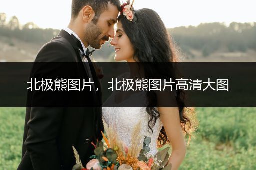 北極熊圖片，北極熊圖片高清大圖
