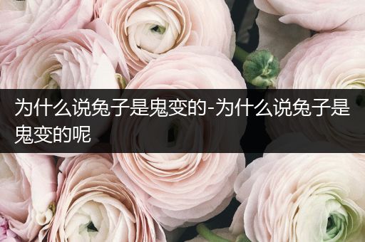 為什么說(shuō)兔子是鬼變的-為什么說(shuō)兔子是鬼變的呢