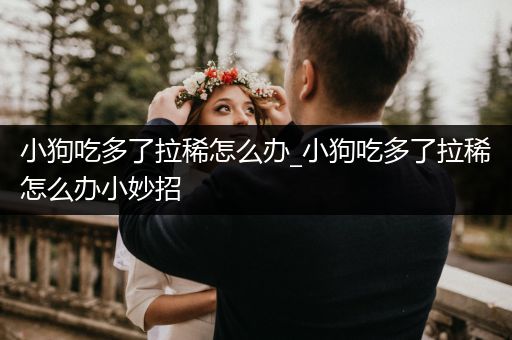 小狗吃多了拉稀怎么辦_小狗吃多了拉稀怎么辦小妙招