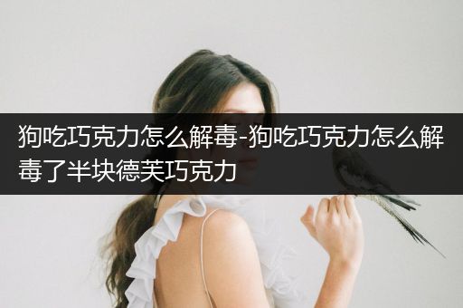 狗吃巧克力怎么解毒-狗吃巧克力怎么解毒了半塊德芙巧克力