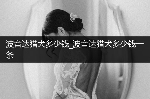 波音達獵犬多少錢_波音達獵犬多少錢一條