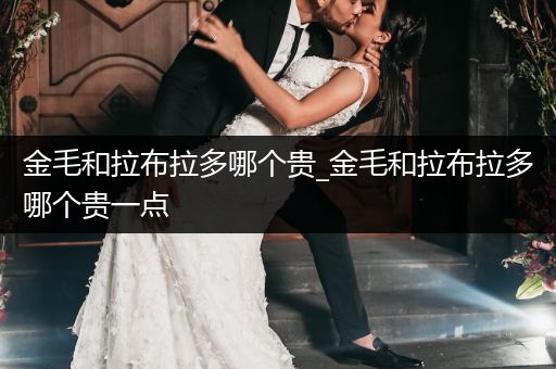 金毛和拉布拉多哪個(gè)貴_金毛和拉布拉多哪個(gè)貴一點(diǎn)