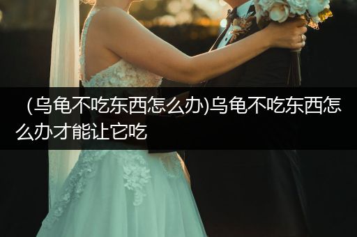 （烏龜不吃東西怎么辦)烏龜不吃東西怎么辦才能讓它吃