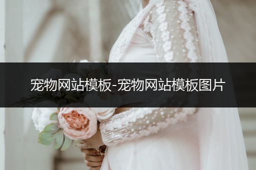 寵物網(wǎng)站模板-寵物網(wǎng)站模板圖片