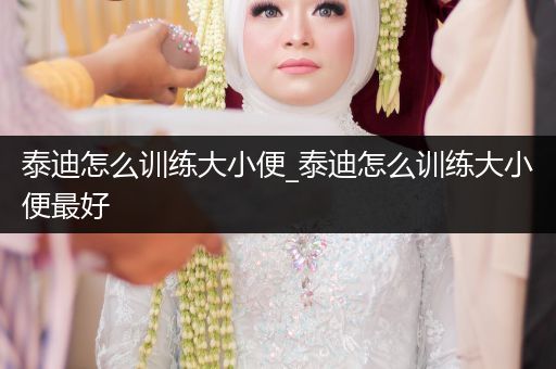 泰迪怎么訓(xùn)練大小便_泰迪怎么訓(xùn)練大小便最好