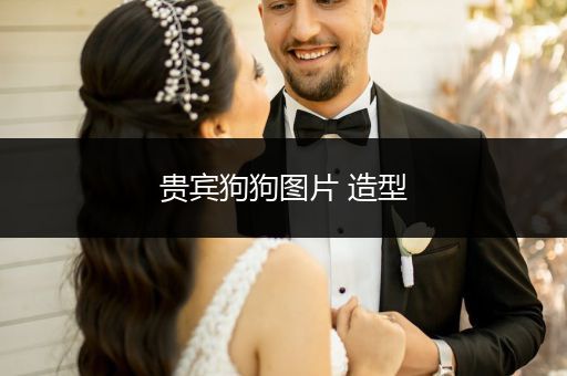貴賓狗狗圖片 造型