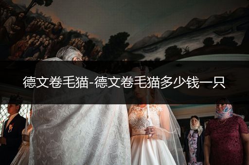 德文卷毛貓-德文卷毛貓多少錢一只