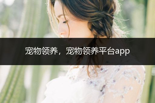 寵物領(lǐng)養(yǎng)，寵物領(lǐng)養(yǎng)平臺(tái)app