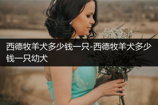 西德牧羊犬多少錢一只-西德牧羊犬多少錢一只幼犬