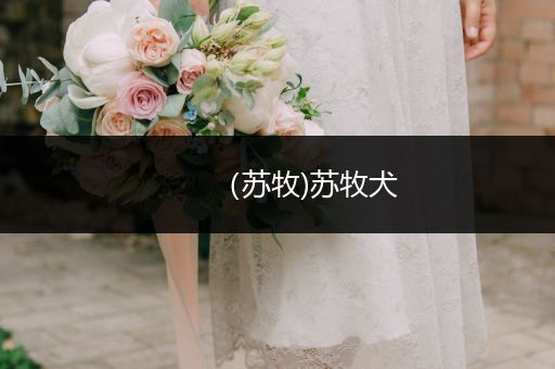 （蘇牧)蘇牧犬