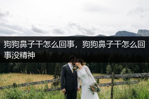 狗狗鼻子干怎么回事，狗狗鼻子干怎么回事沒精神