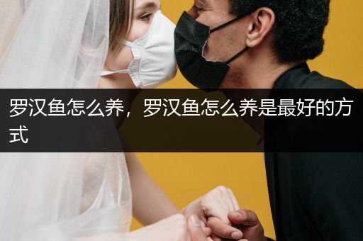 羅漢魚(yú)怎么養(yǎng)，羅漢魚(yú)怎么養(yǎng)是最好的方式