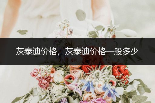 灰泰迪價(jià)格，灰泰迪價(jià)格一般多少