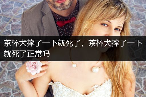 茶杯犬摔了一下就死了，茶杯犬摔了一下就死了正常嗎