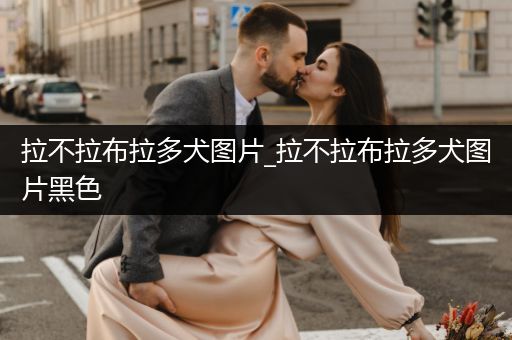 拉不拉布拉多犬圖片_拉不拉布拉多犬圖片黑色