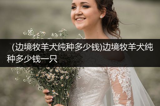 （邊境牧羊犬純種多少錢(qián))邊境牧羊犬純種多少錢(qián)一只