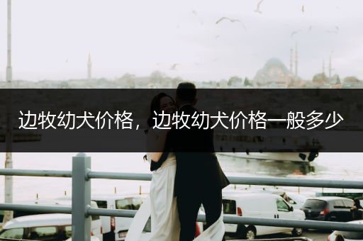 邊牧幼犬價(jià)格，邊牧幼犬價(jià)格一般多少