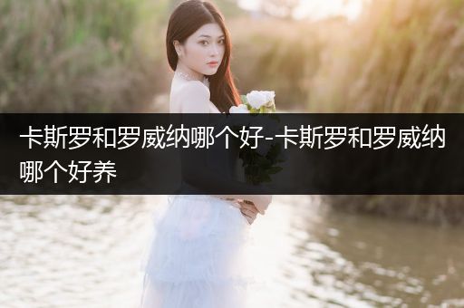 卡斯羅和羅威納哪個好-卡斯羅和羅威納哪個好養(yǎng)