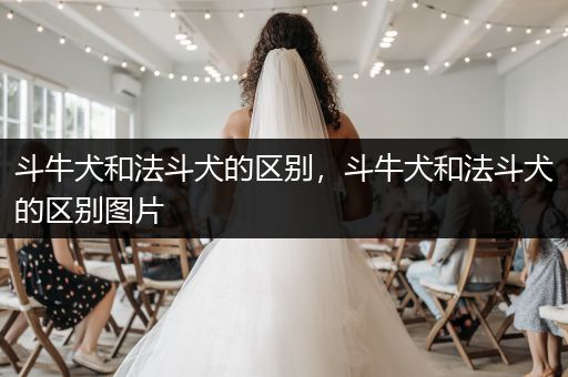 斗牛犬和法斗犬的區(qū)別,斗牛犬和法斗犬的區(qū)別圖片