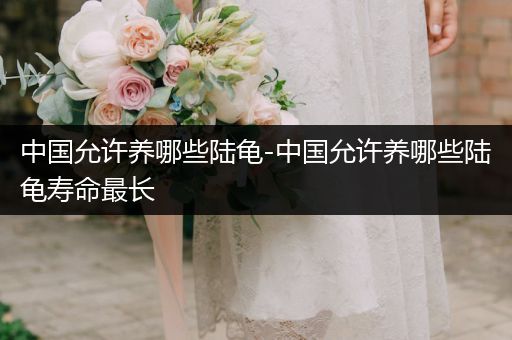 中國允許養(yǎng)哪些陸龜-中國允許養(yǎng)哪些陸龜壽命最長