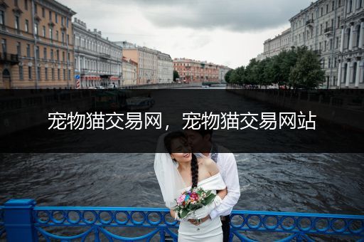 寵物貓交易網(wǎng)，寵物貓交易網(wǎng)站