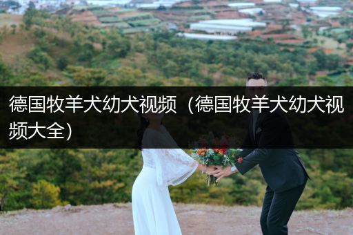 德國(guó)牧羊犬幼犬視頻（德國(guó)牧羊犬幼犬視頻大全）