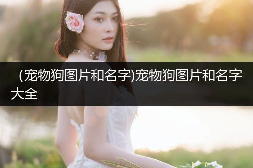 (寵物狗圖片和名字)寵物狗圖片和名字大全