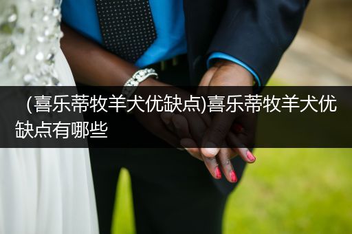 (喜樂蒂牧羊犬優(yōu)缺點)喜樂蒂牧羊犬優(yōu)缺點有哪些