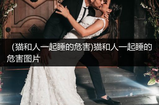 （貓和人一起睡的危害)貓和人一起睡的危害圖片