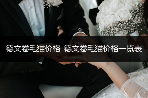 德文卷毛貓價格_德文卷毛貓價格一覽表