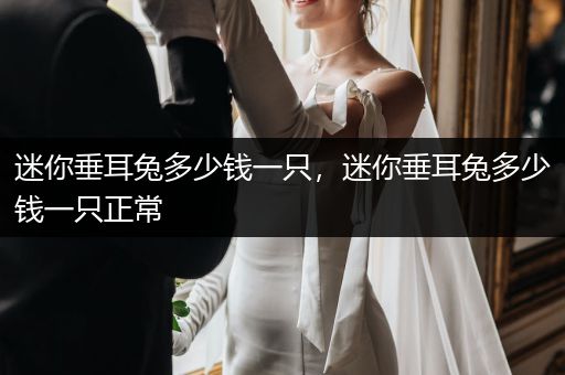 迷你垂耳兔多少錢一只，迷你垂耳兔多少錢一只正常